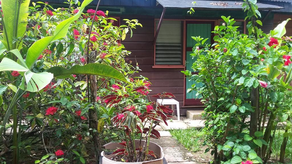 Secret Cabins At Firefly Beach Cottage Negril Ruang foto